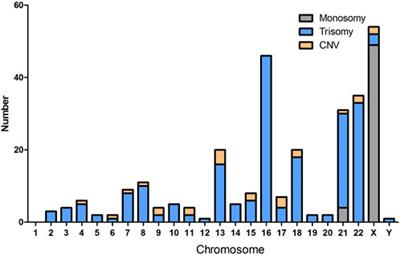 Clinical application of single nucleotide polymorphism microarray analysis in pregnancy loss in Northwest China